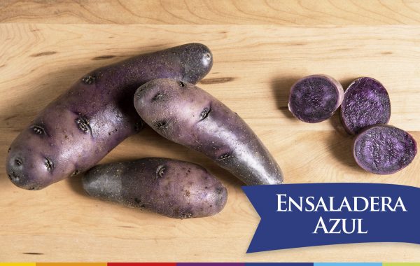 ENSALADERA AZUL